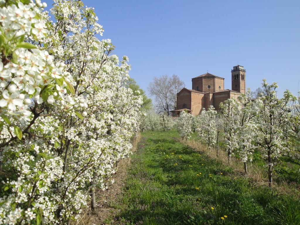 Agriturismo Santa Maria Bressanoro Castelleone Luaran gambar
